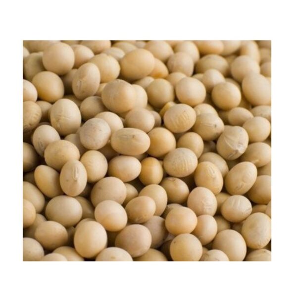 Soya Beans