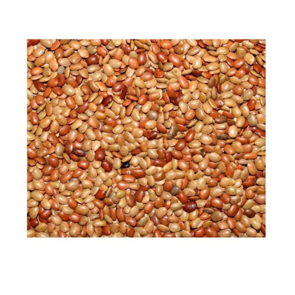 Ulavalu (Horse Gram)